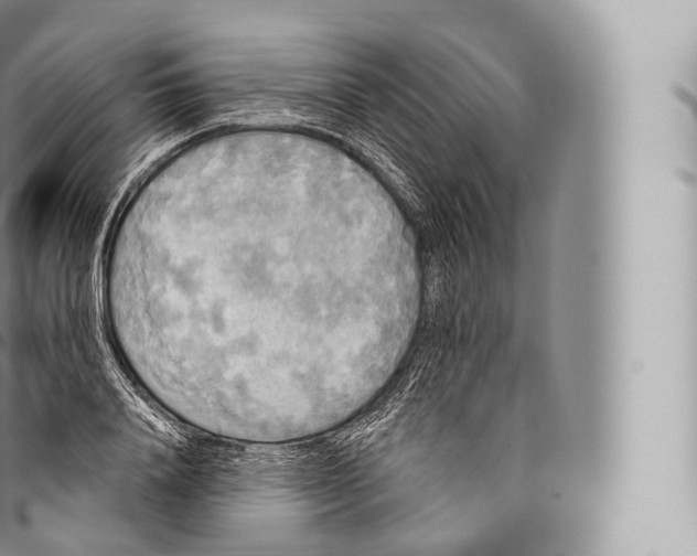 X0000096490840200802141743