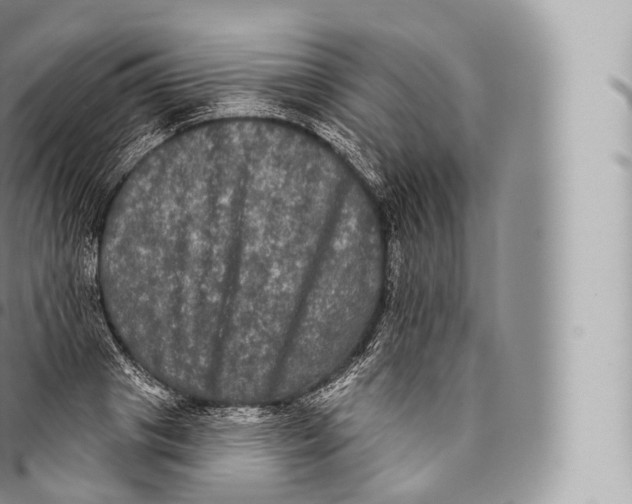 X0000096490841200802141743