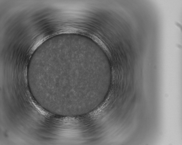 X0000096490842200802141743