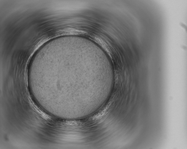 X0000096490843200802141743