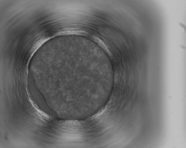 X0000096490844200802141743