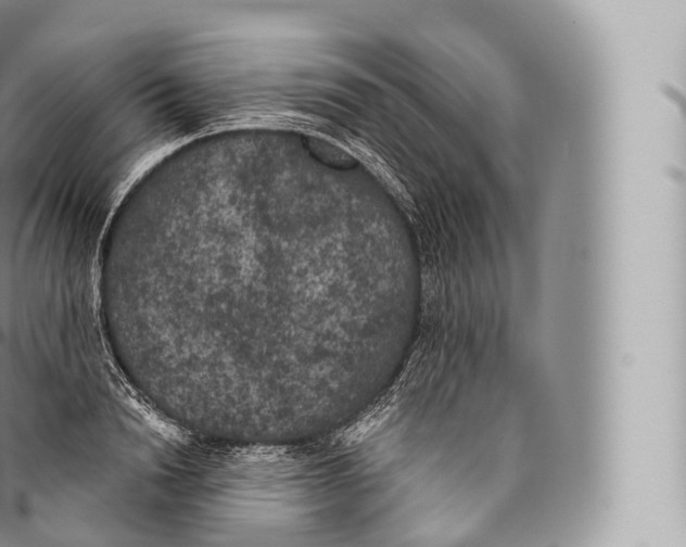 X0000096490846200802141744