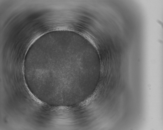 X0000096490847200802141744