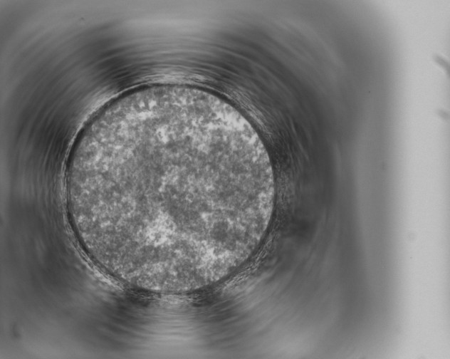 X0000096490848200802141744