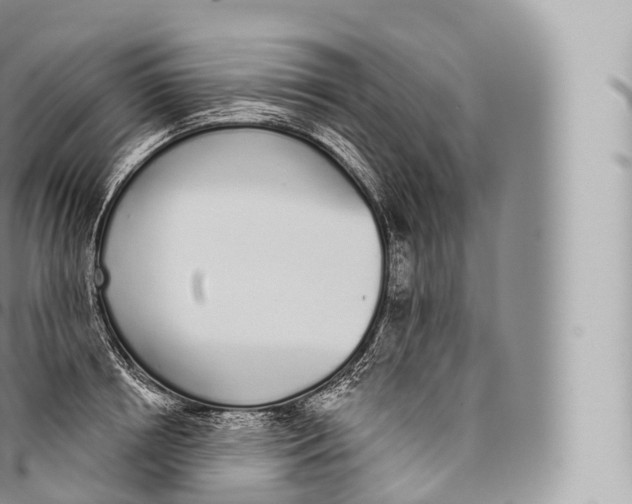 X0000096490850200802141744