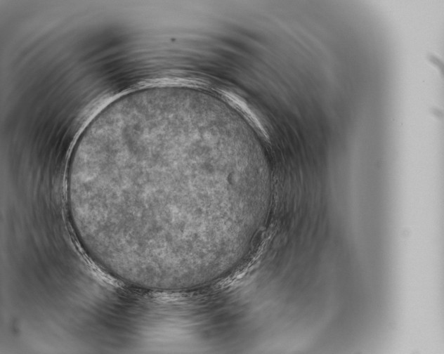 X0000096490852200802141744