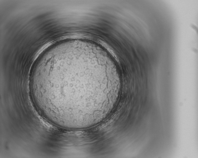 X0000096490853200802141744