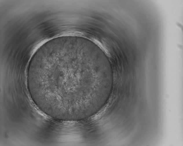 X0000096490854200802141744