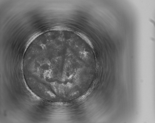 X0000096490855200802141744