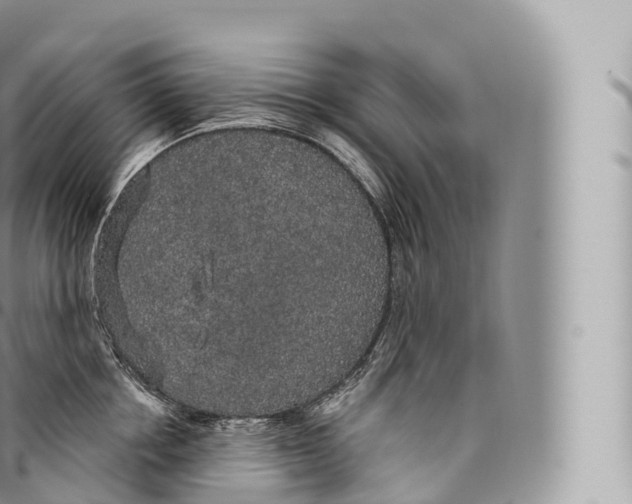 X0000096490858200802141744