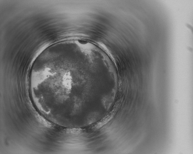 X0000096490859200802141744