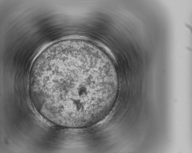 X0000096490860200802141744