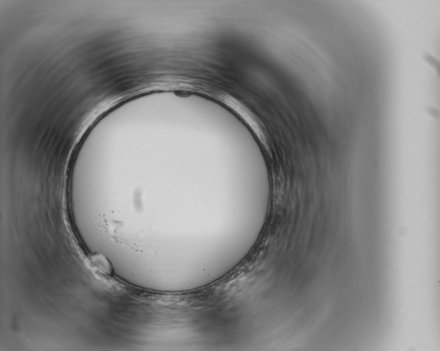 X0000096490861200802141744