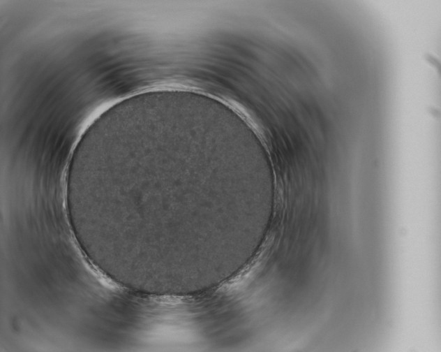 X0000096490862200802141744