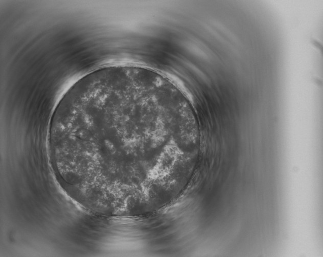 X0000096490863200802141744