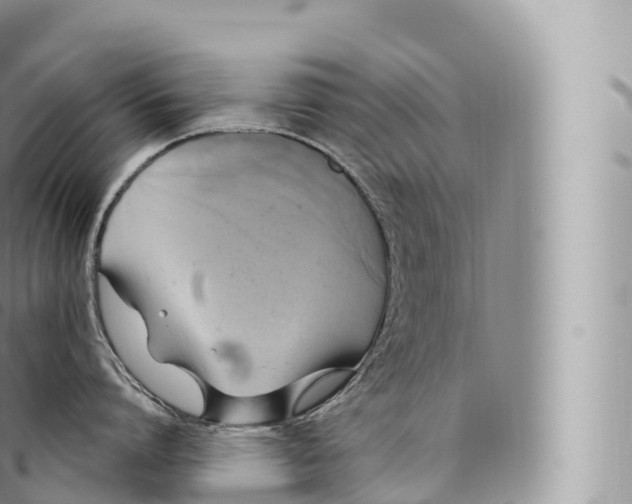 X0000096490864200802141744