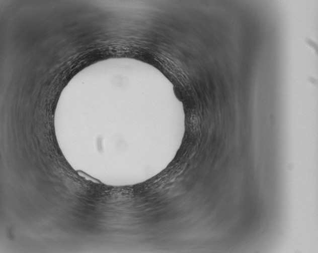 X0000096490865200802141743