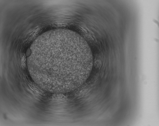 X0000096490866200802141743