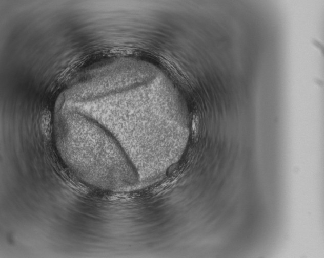 X0000096490867200802141743