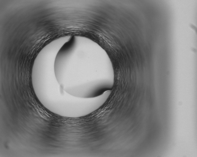 X0000096490868200802141743