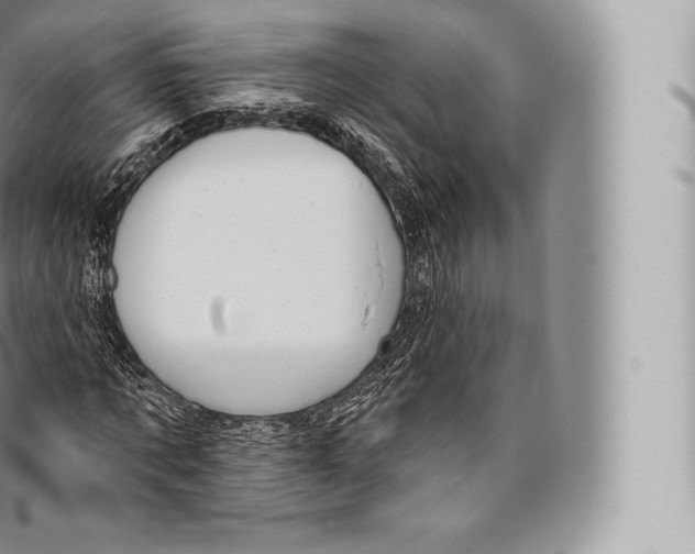 X0000096490869200802141743