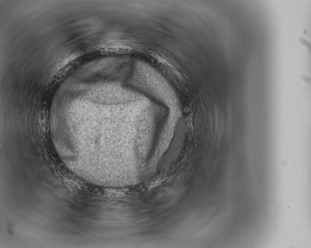 X0000096490870200802141743