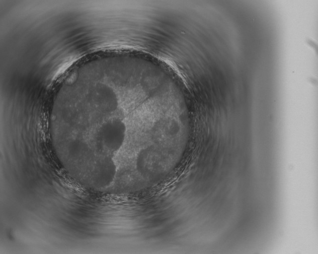 X0000096490871200802141743