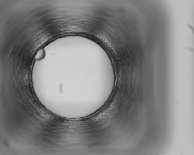 X0000096490873200802141743