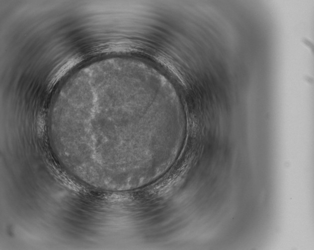 X0000096490874200802141743