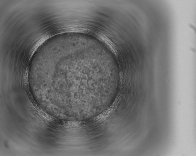 X0000096490875200802141743