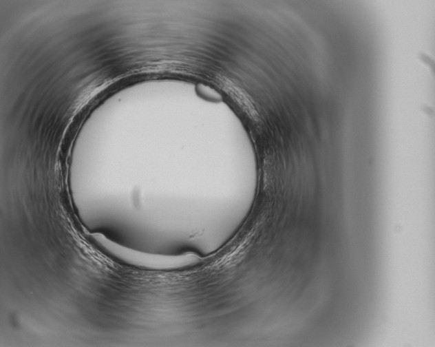 X0000096490876200802141743