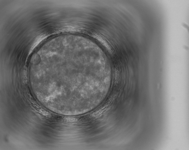 X0000096490878200802141743