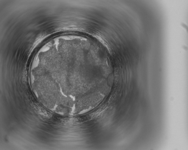 X0000096490879200802141743