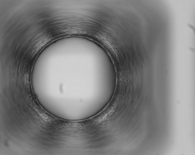 X0000096490881200802141743