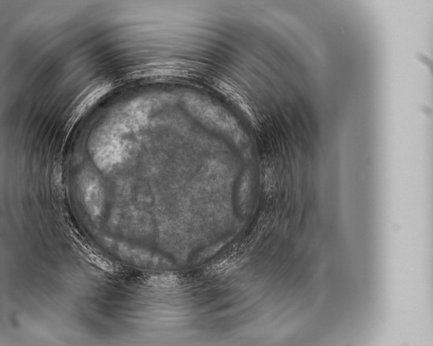 X0000096490882200802141743