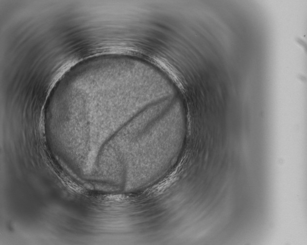 X0000096490883200802141743