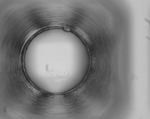 X0000096490884200802141743