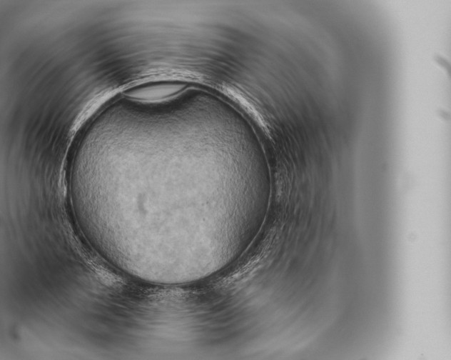 X0000096490885200802141743