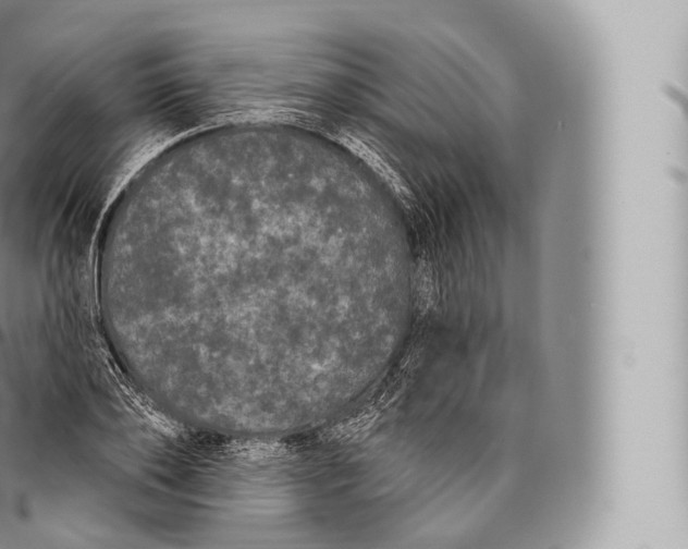 X0000096490886200802141743