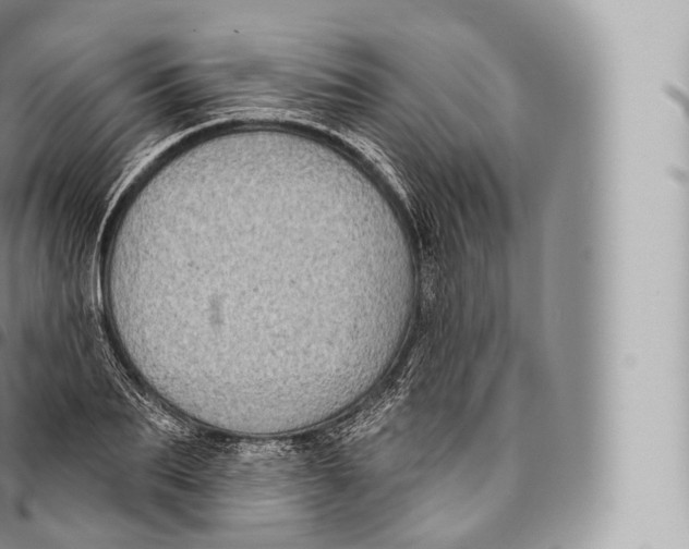 X0000096490887200802141743