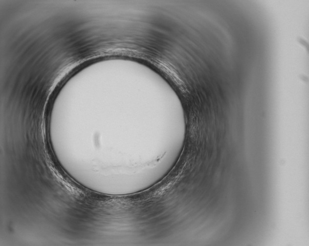 X0000096490888200802141743