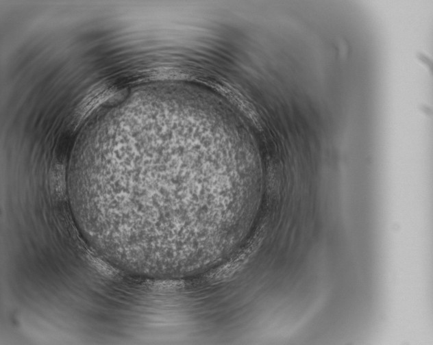 X0000096490889200802141743