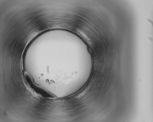 X0000096490892200802141743