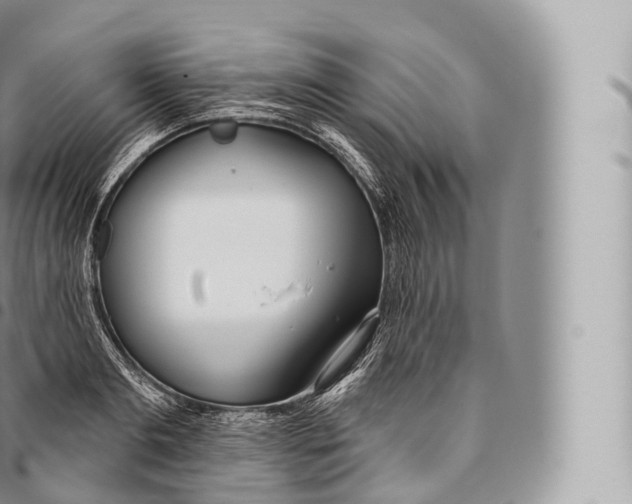 X0000096490893200802141743