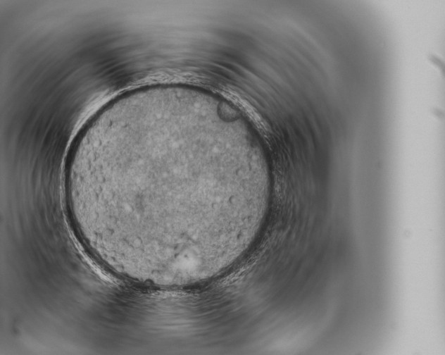 X0000096490894200802141743