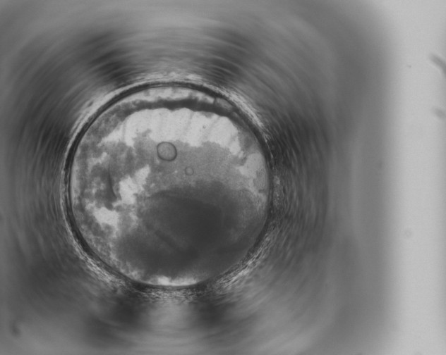 X0000096490895200802141743