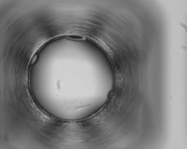 X0000096490896200802141743