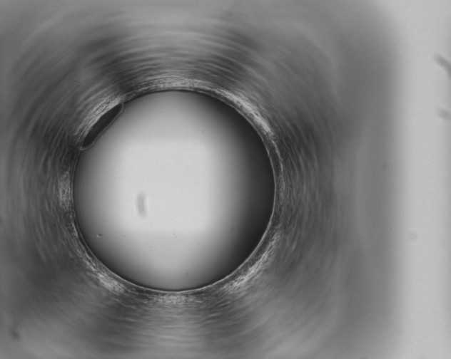 X0000096490897200802141743