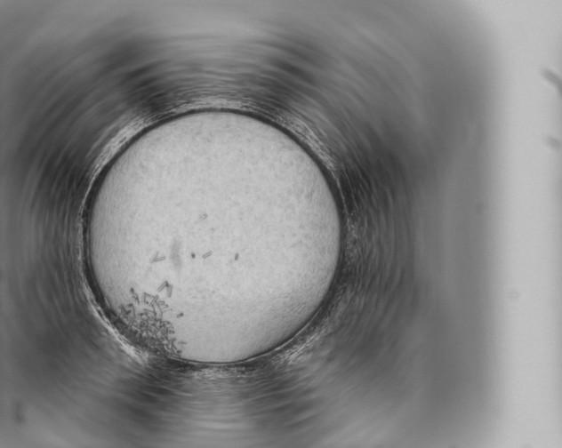 X0000096490898200802141743