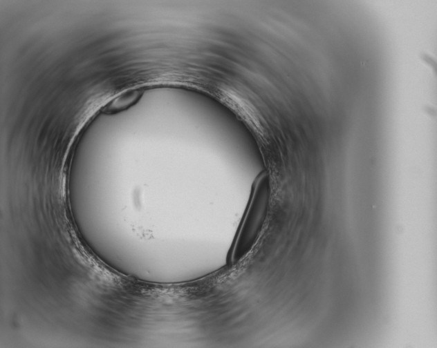 X0000096490900200802141743